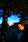 sight-12